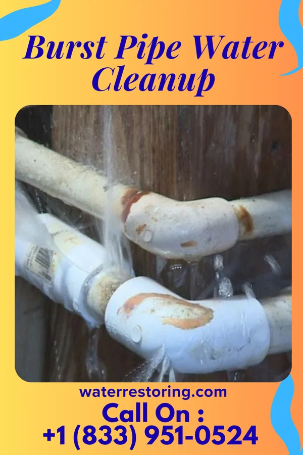 Burst Pipe Water Cleanup in Fitchburg, MA