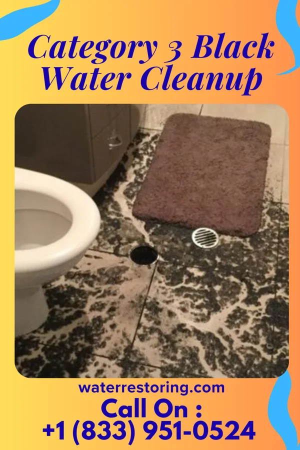 Category 3 Black Water Cleanup in Fitchburg, MA