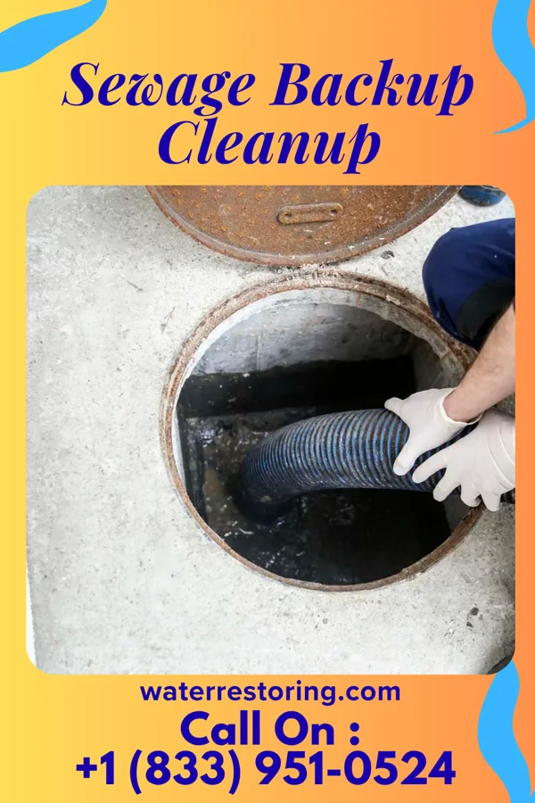 Sewage Backup Cleanup in Fitchburg, MA