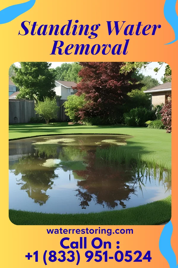 Standing Water Removal in Fitchburg, MA